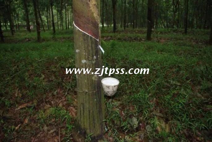 材料知識:橡膠的加工工藝簡述 材料知識:橡膠的加工工藝簡述